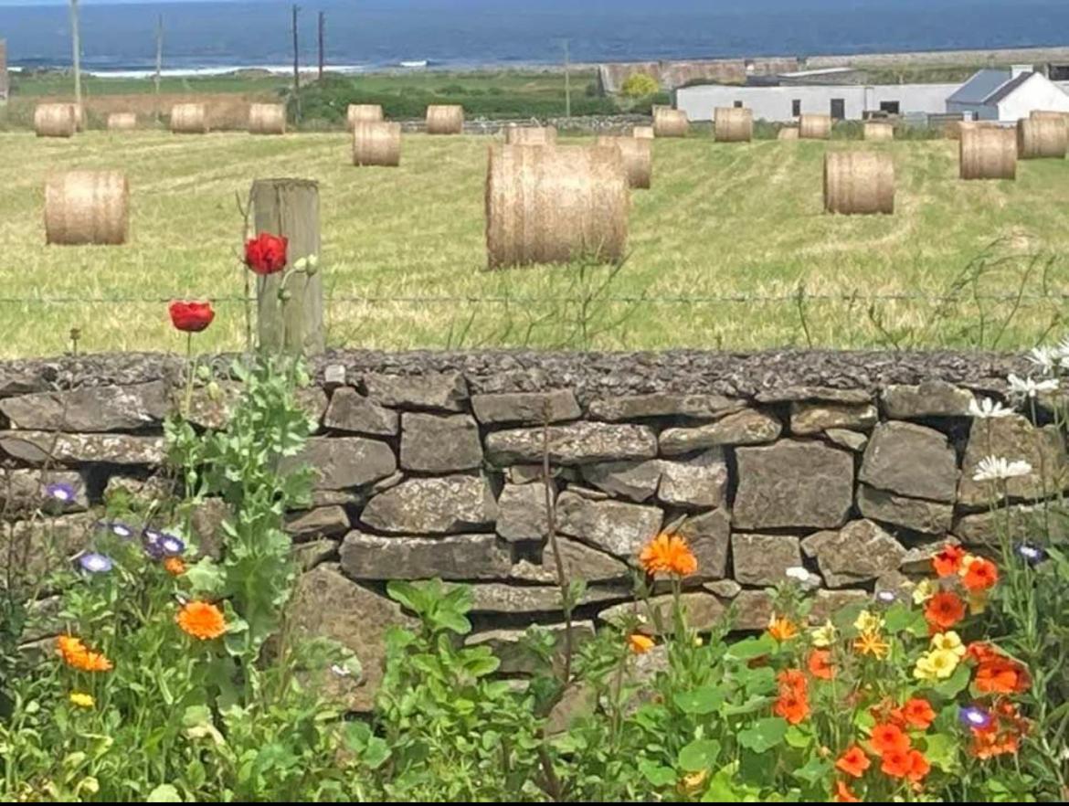 Wild Atlantic View Bed & Breakfast Sligo Bagian luar foto